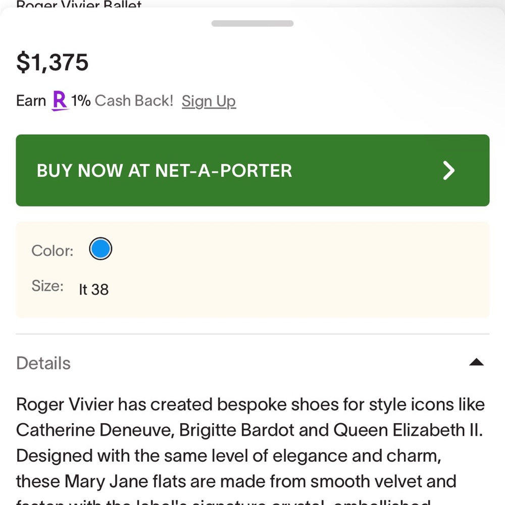 Roger Vivier Très Vivier Strass Crystal-embellished Velvet MaryJane Ballet Flats - Picture 14 of 14